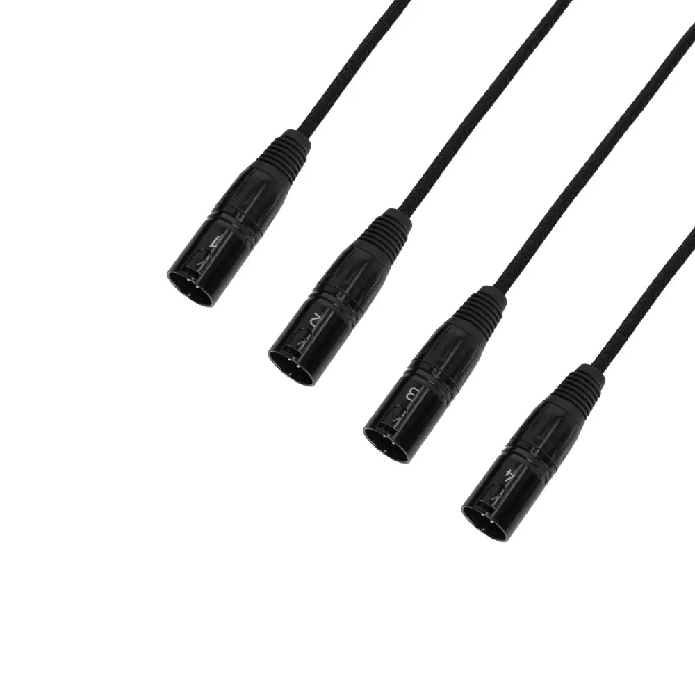 Patchera 4 Canales Macho Ethernet Cat 6A Adam Hall 4CATBOXXM3