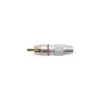 Ficha RCA Macho Adam Hall 4CR2RED