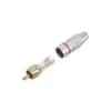 Ficha RCA Macho Adam Hall 4CR2RED