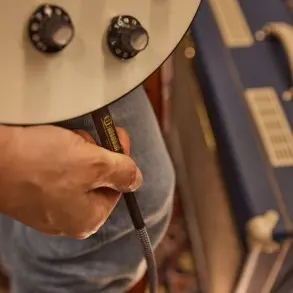 Cable Plug Plug 6 Metros Adam Hall 4IPP0600BRW