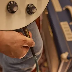 Cable Plug Plug 6 Metros Adam Hall 4IPP0900GRN