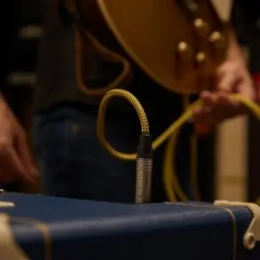 Cable Plug Plug 3 Metros Ficha Neutrik Adam Hall 5IPP0300VINTAGE