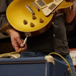 Cable Plug Plug 6 Metros Ficha Neutrik Adam Hall 5IPP0600VINTAGE