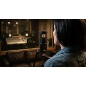 Microfono de Estudio Condenser Supercardioide Capatacion lateral CAD GXL4000