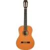 Guitarra Clasica Washburn C5-WSH