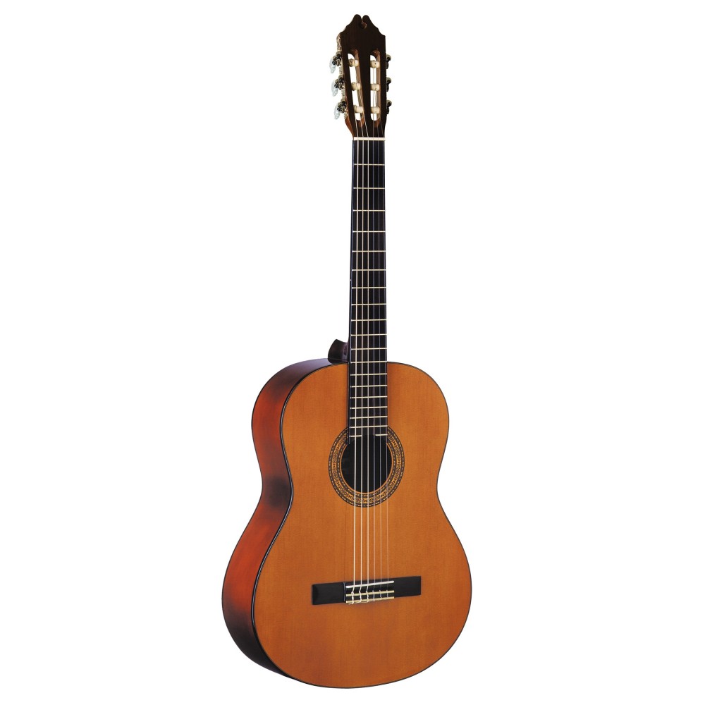 Guitarra Clasica Washburn C5-WSH