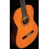 Guitarra Clasica Washburn C5-WSH