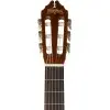 Guitarra Clasica Washburn C5-WSH