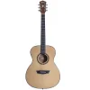 Guitarra Acustica Washburn AF5