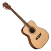Guitarra Acustica Washburn AF5
