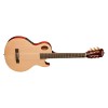 Guitarra ElectroAcustica Washburn EACT42S