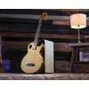 Guitarra ElectroAcustica Washburn EACT42S