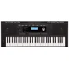 Teclado 61 Teclas Roland EX20A
