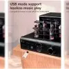Amplificador Valvular de audio HYPER SOUND AV-2080R Clase D