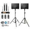 Pack Mixer 4 Canales + Bafles 8" + Microfonos Inalambrico + Soportes