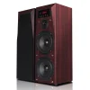 Sistema Columna Hifi Activa 100W Hypersound IA-260