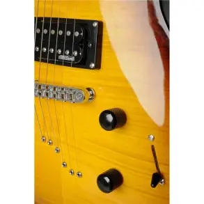 Guitarra Electrica Eko Aquastd Tipo Les Paul Aqua Standard Honey Burst