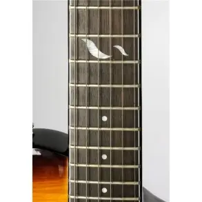 Guitarra Electrica Eko Aquastd Tipo Les Paul Aqua Standard Honey Burst