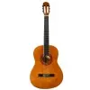 Guitarra Clasica Con Alma Leonard CG300N