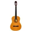 Guitarra Clasica Con Alma Tapa De Pino Leonard CG400N