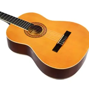 Guitarra Clasica Con Alma Tapa De Pino Leonard CG400N