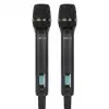 Microfono Inalambrico Doble Mano Heva Pro Audio D502
