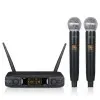 Microfono Inalambrico Doble Mano Heva Pro Audio C102