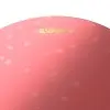 PARCHE EVANS 13" HIDRAULICO ARENADO CAPA DOBLE COLOR ROJO B13HR
