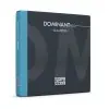 Encordado De Viola Dominant Pro Thomastik DP200