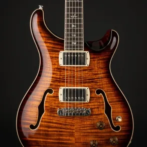 Guitarra Electrica SE Hollowbody Prs HBZFFRIN1OB
