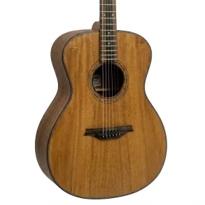 Guitarra Acústica Bromo BAT2M
