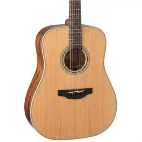 Guitarra Acústica Takamine GD20NS