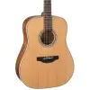 Guitarra Acústica Takamine GD20NS