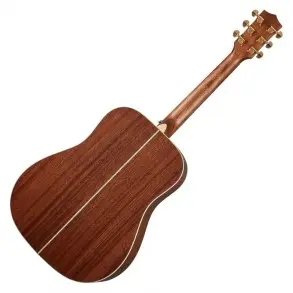 Guitarra Acústica Takamine GD20NS