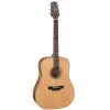 Guitarra Acústica Takamine GD20NS