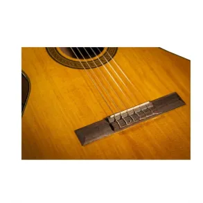 Guitarra Clásica Takamine GC3NAT