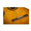 Guitarra Clásica Takamine GC3NAT
