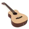 Guitarra Electroacústica Martin & Co LX1E