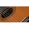 Guitarra Clasica Yamaha C45
