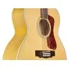 Guitarra Electro Acústica 12 Cuerdas Guild F2512 E