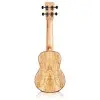 Ukelele Soprano Cordoba - 24S
