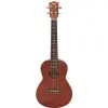 Ukelele Tenor Stagg UT70