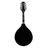 Mandolina Stagg M20