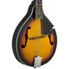 Mandolina Stagg M20