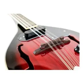 Mandolina Electrica Stagg M50E