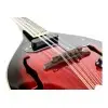 Mandolina Electrica Stagg M50E