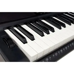 Teclado Casio CTX800 Sensitivo 5 Octavas 600 Sonidos con Pitch Bend