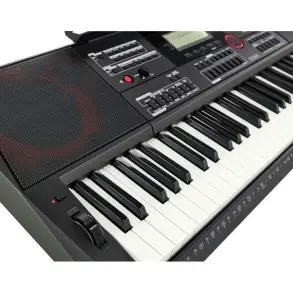 Teclado Casio CTX5000 61 Teclas 800 Sonidos Secuenciador Salidas L-R Stage