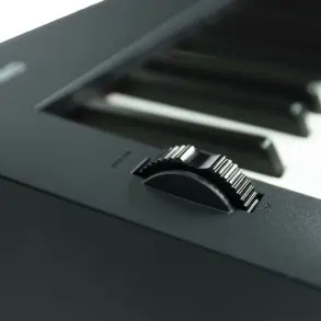 Piano DIgital Casio CDP-S350BK 88 Teclas con USB y Pantalla Iluminado