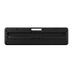 Teclado Casio LK-S250 5 Octavas Teclas Iluminadas Negro